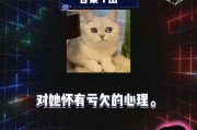 直播娱乐圈八卦吃瓜是谁,吃瓜群众背后的故事